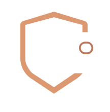 Security icon